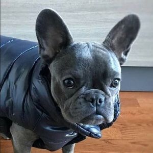 Meet your Posher, Rob